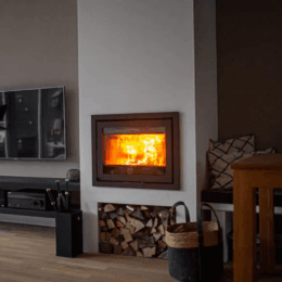 Dik Geurts Instyle 650 houtkachel